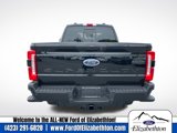 New 2025 Ford F250 4x4 Crew Cab Super Duty image 5