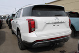 New 2025 Hyundai Palisade SEL image 4