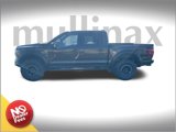 New 2025 Ford F150 Raptor image 2