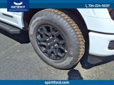 New 2025 Ford F150 XLT w/ Equipment Group 302A MID image 4