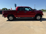 Used 2013 Ford F150 XLT w/ Luxury Equipment Group image 5