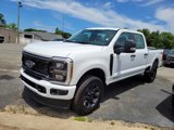 New 2025 Ford F250 XL image 3