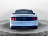 Used 2022 Ford Mustang Premium image 3
