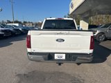 New 2025 Ford F150 XLT w/ Equipment Group 302A MID image 6
