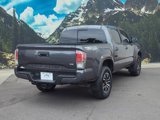 Certified 2021 Toyota Tacoma TRD Sport w/ TRD Premium Sport Package image 4