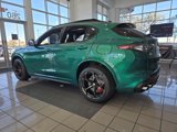 New 2024 Alfa Romeo Stelvio Quadrifoglio w/ Active Assist Plus Package image 4