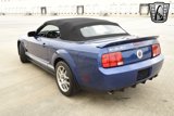 Used 2008 Ford Mustang Shelby GT500 image 4