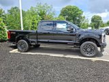 New 2025 Ford F250 Platinum image 3