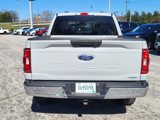 Used 2023 Ford F150 XLT w/ Equipment Group 301A Mid image 3