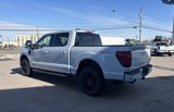 New 2025 Ford F150 XLT w/ Equipment Group 302A MID image 3