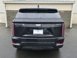 New 2025 Cadillac Escalade IQ Sport 2 image 5