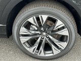 New 2025 Audi Q8 Prestige image 4