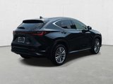 Certified 2025 Lexus NX 350h AWD w/ Cold Area Package image 5
