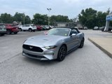 Used 2023 Ford Mustang Premium image 4