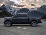 New 2025 Ford F150 STX image 3