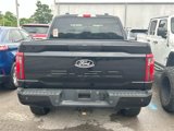 Certified 2024 Ford F150 STX w/ STX Black Appearance Package image 4