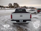 New 2025 Ford F150 XLT w/ Equipment Group 302A MID image 4