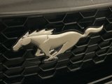 Used 2024 Ford Mustang GT Premium image 6