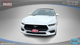 Used 2024 Ford Mustang Premium image 2