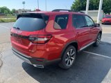 New 2025 Honda Pilot Elite image 5