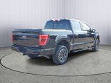 Used 2022 Ford F150 XLT w/ Equipment Group 302A High image 3