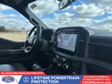 New 2025 Ford F150 XLT w/ Equipment Group 302A MID image 3