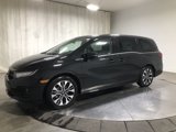 New 2025 Honda Odyssey Elite image 4