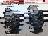 View Video