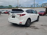 New 2025 Acura RDX SH-AWD w/ Advance Package image 5