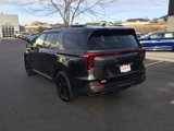 New 2025 Kia Carnival SX Prestige image 4