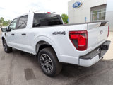 New 2025 Ford F150 STX w/ Equipment Group 200A image 3