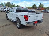 Used 2024 Ford F150 XLT image 4
