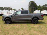 New 2025 Ford F150 Platinum image 6