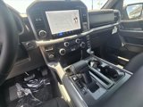 New 2025 Ford F150 XLT w/ Equipment Group 302A MID image 6