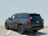New 2025 Ford Expedition Platinum image 3