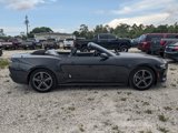 Used 2024 Ford Mustang Convertible image 3