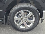 Certified 2022 Ford F150 XLT w/ Equipment Group 302A High image 4
