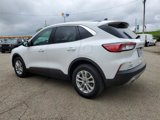 Certified 2022 Ford Escape SE image 3
