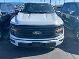 New 2025 Ford F150 XLT w/ Equipment Group 302A MID image 5