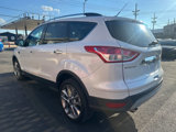 Used 2016 Ford Escape SE w/ SE Chrome Package image 5