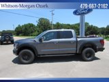 New 2025 Ford F150 Raptor image 5