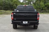 New 2025 Ford F250 Platinum image 5