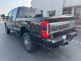 New 2025 Ford F250 Platinum image 3