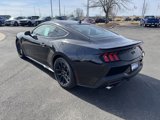 New 2025 Ford Mustang GT Premium w/ Mustang Nite Pony Package image 5