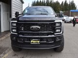 New 2025 Ford F250 XL image 3