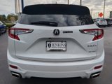 New 2025 Acura RDX SH-AWD w/ Advance Package image 5