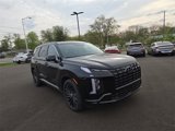 New 2025 Hyundai Palisade Calligraphy image 4