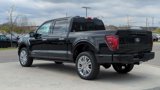 New 2025 Ford F150 Platinum w/ Equipment Group 703A Plus image 3