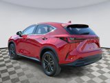 Used 2025 Lexus NX 450h+ AWD w/ Luxury Package image 4