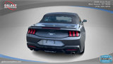 Used 2024 Ford Mustang Premium image 6